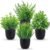 Der Rose Fake Plants 4 Packs Artificial Plants Small Faux Plants in Black Pot for Bathroom Home Office Table Decor Indoor